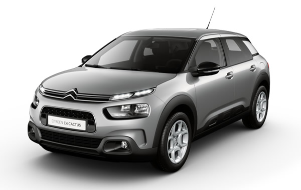 C4 Cactus
