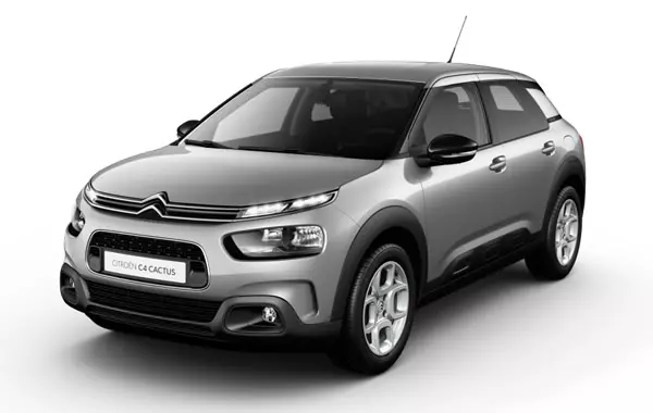 C4 Cactus