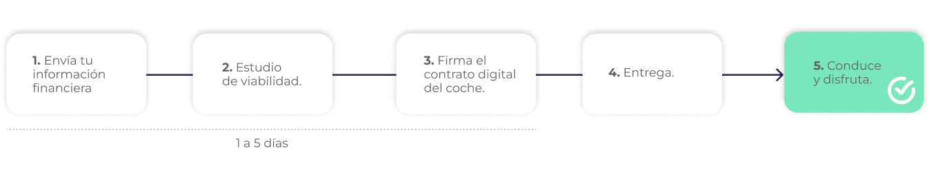 Proceso de la operacion